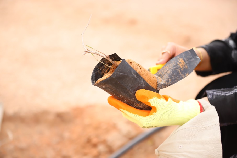 زيارة منسوبي كليات الشرق العربي لمحمية الإمام عبد العزيز بن محمد الملكية